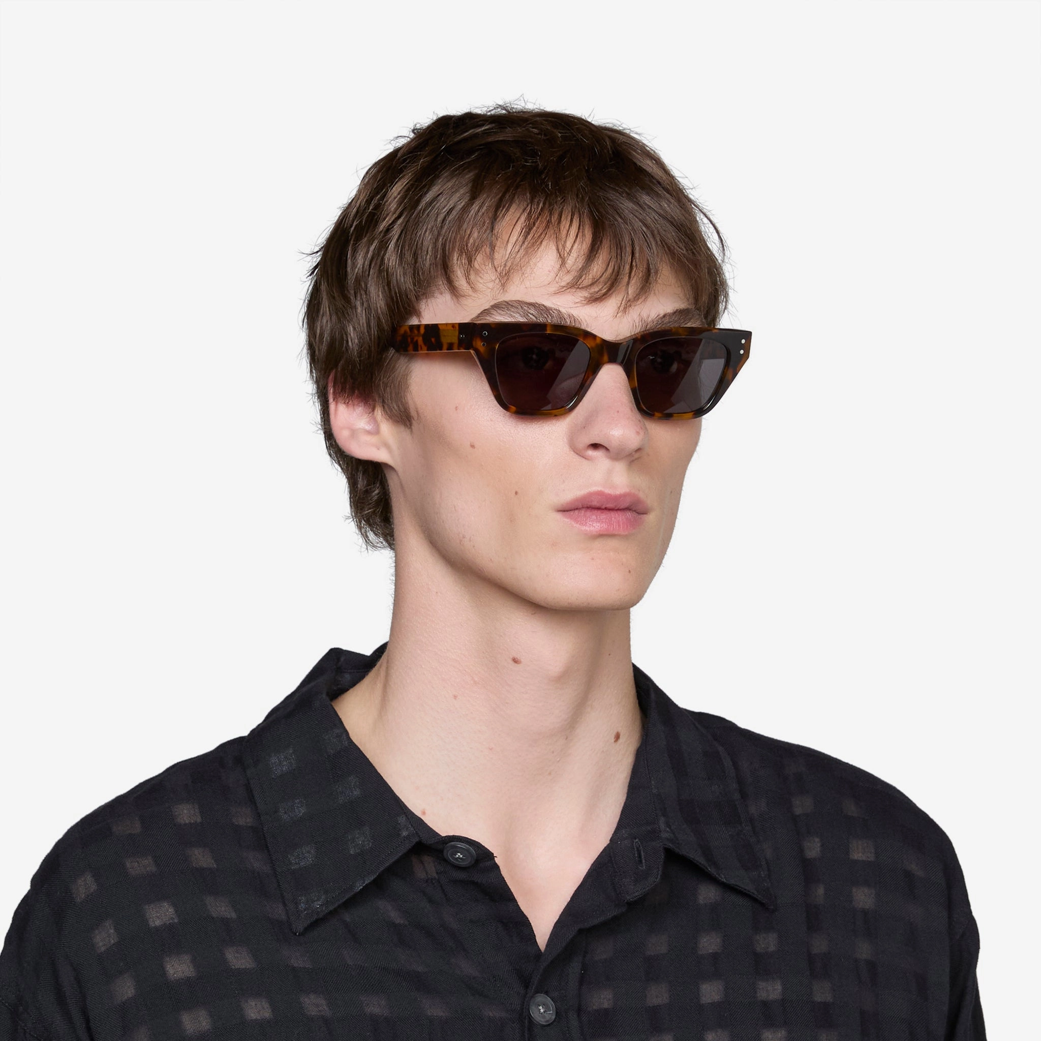 Memphis Havana | Grey Solid Lens