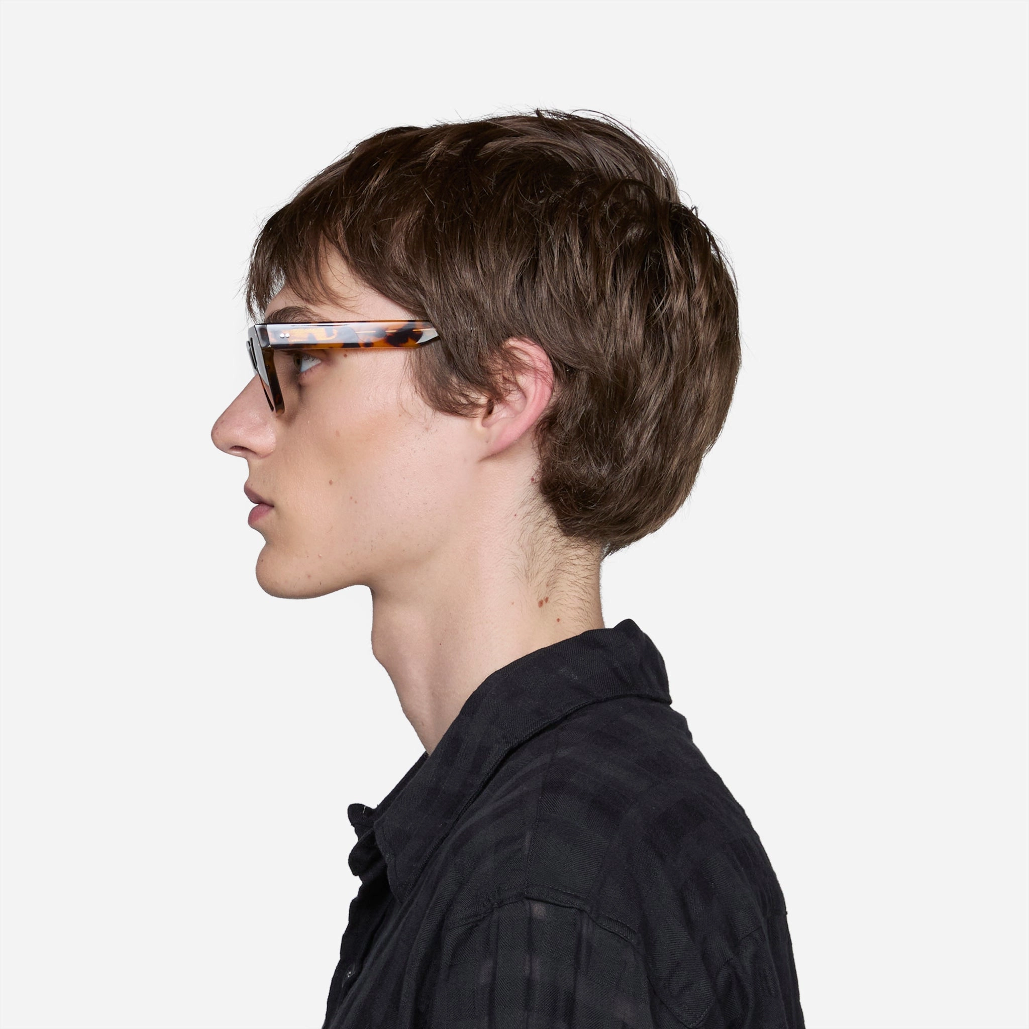 Memphis Havana | Grey Solid Lens